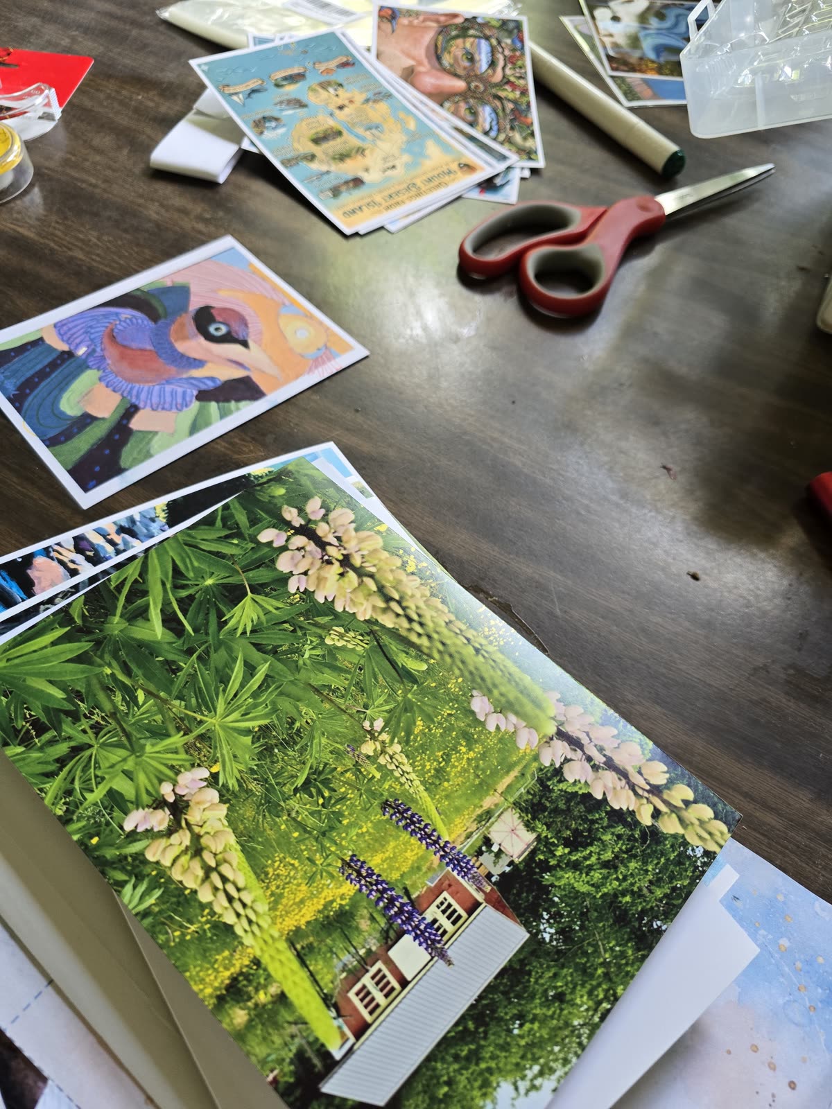 Pajaritaflora art prints, cards, and scissors on a studio table