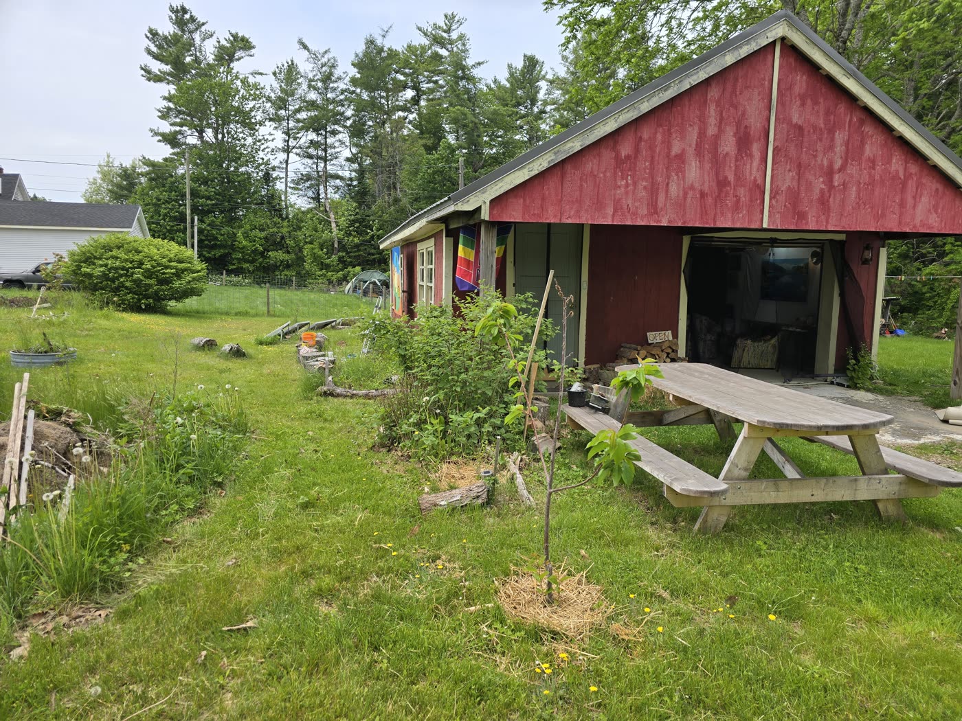The red Pajaritaflora studio building with lawn, garden, and picnic table